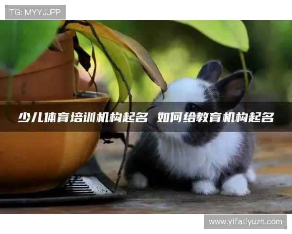 V体育平台多语种支持：满足不同地区用户的多样化需求